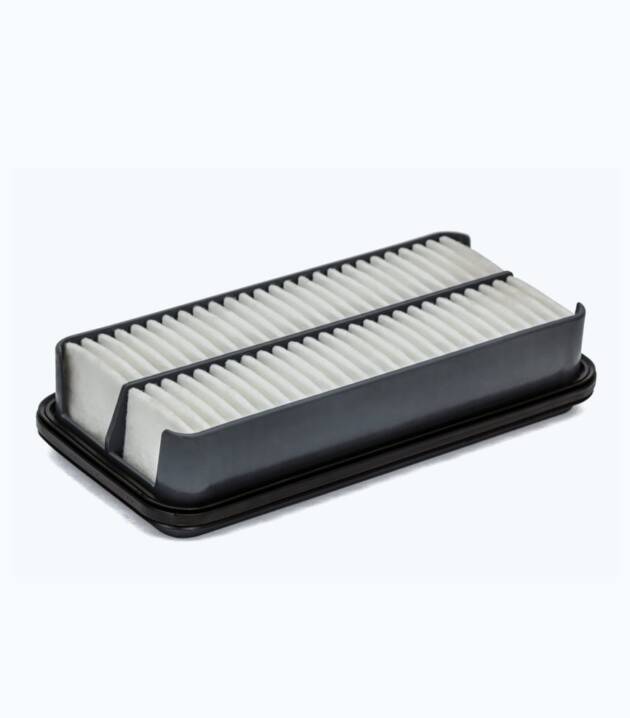 Double air filter